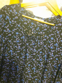 ساحلی